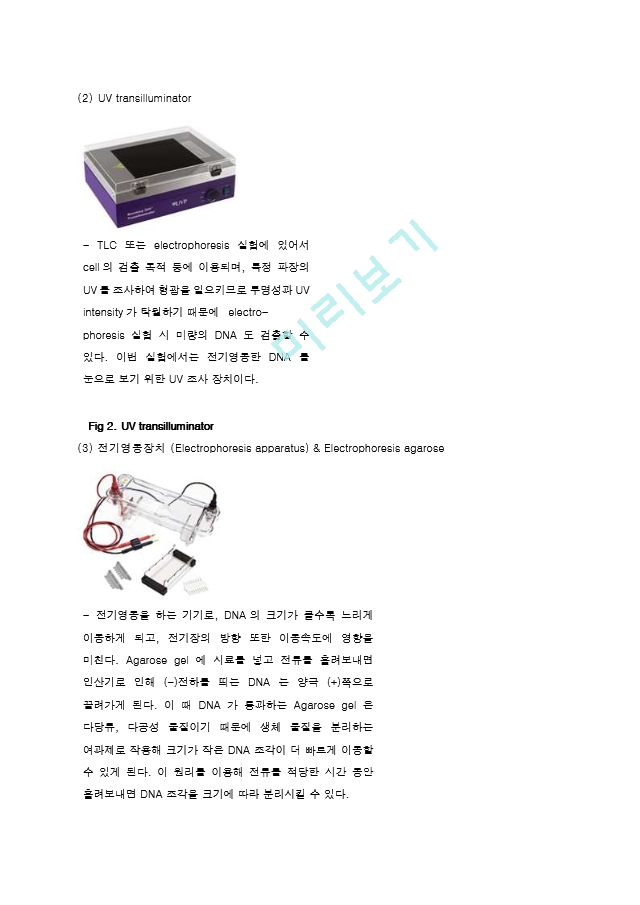 제한효소를 이용한 Restriction of DNA 결과레포트 [A＋].hwp